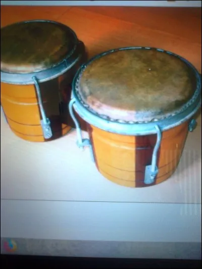 D'où est originaire le ''bongo'' ?