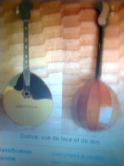 D'où est originaire l'instrument de musique ''domra'' ?