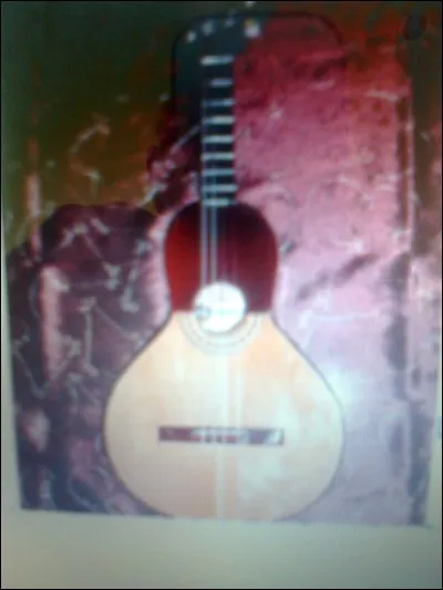 Dans quels pays utilise-t-on la ''bandola'' ?