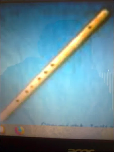 D'où est originaire le ''bansurî'' ?