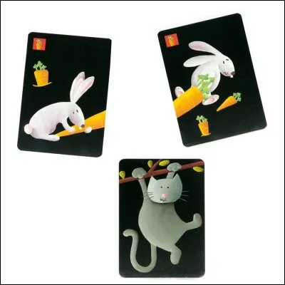 À quel jeu appartiennent ces cartes ?