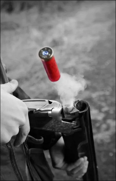 Qui jouait dans le film "Le Professionnel" ?