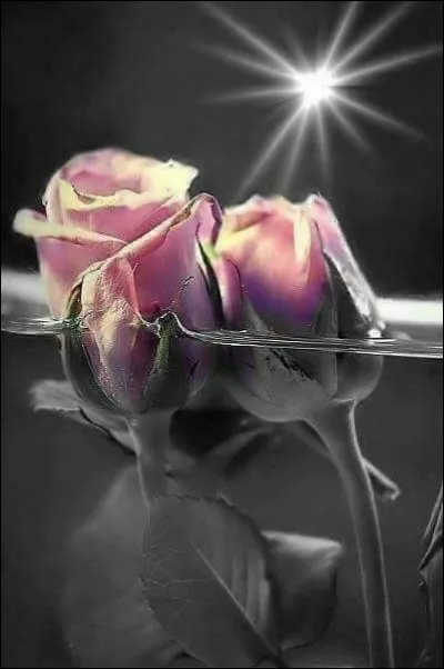 Qui a écrit les vers : 
 "Les roses d'Ispahan dans leur gaîne de mousse,
Les jasmins de Mossoul, les fleurs de l'oranger
Ont un parfum moins frais, ont une odeur moins douce,