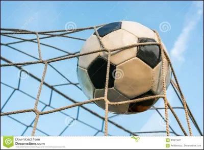 Qui ont été les deux meilleurs buteurs de la FFF ?