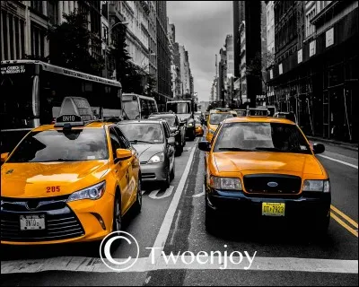 Qui chante "Joe le taxi" ?