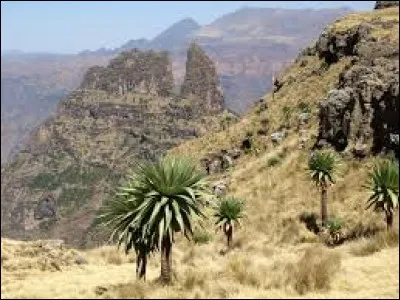 Quelle est la couleur de l'étoile au centre du drapeau de l'Éthiopie ?