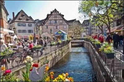 Comment appelle-t-on les habitants de la ville française de Colmar ?