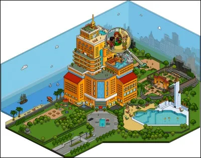 Ci-dessous, quelle est la vraie liste des c&eacute;l&eacute;brit&eacute;s qui ont d&eacute;j&agrave; "jou&eacute;" &agrave; "Habbo Hotel" ?