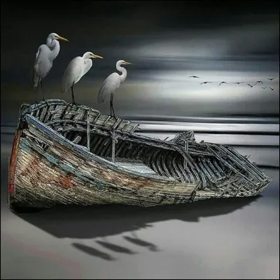 Quel grand oiseau c&ocirc;tier porte le m&ecirc;me nom qu'un bateau ?