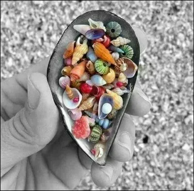 Comment se nomme l'&eacute;levage des coquillages ?