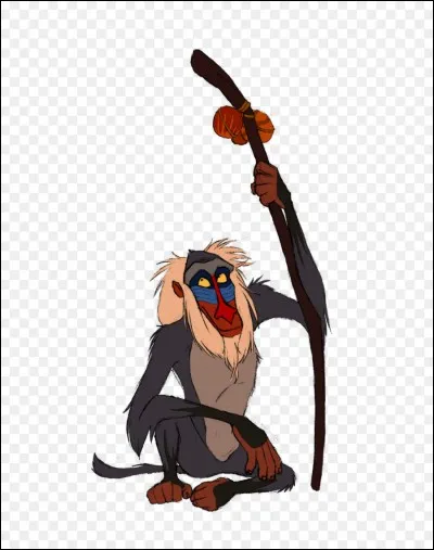Comment s'appelle le vieux singe ?