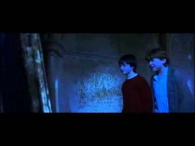 Qu'est-ce que Ron voit dans le miroir du Risèd ?