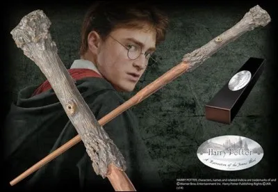 Combien de centimètres mesure la baguette de Harry Potter ?