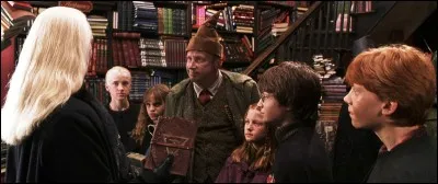 Que se passe-t-il entre Mr Weasley et Mr Malefoy dans la librairie Fleury et Bott ?