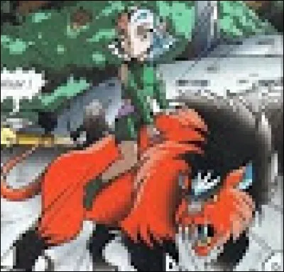 Comment s'appelle le Félinor ?