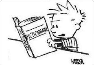 Langue française - Dans quel domaine utilise-t-on un plectre ?