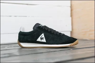 Le sport que tu pratiques ou que tu aimerais pratiquer