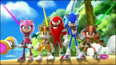 Qui préfères-tu dans ''Sonic'' ?