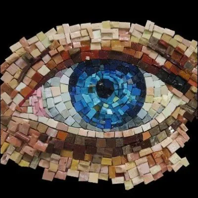 Comment s'appelle la partie colorée de l'il ?