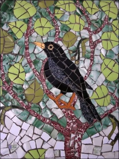 De ces trois oiseaux noirs, lequel a le bec jaune ?