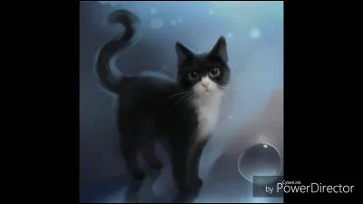 De quel clan fait partie Baie de Ronce cette intelligente guérisseuse ?