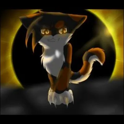 De quel clan fait partie Cœur de Galet cet aimable guérisseur ?