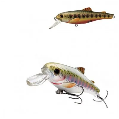 Quels sont les types de poissons nageurs ?