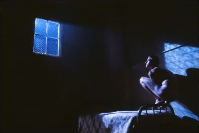 "Birdy" est-il un film tourné par Alan Parker ?