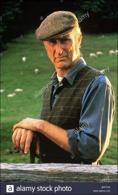 "Babe" est un film dans lequel le héros est un chat.