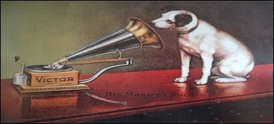 ♪♪♫♪♪ De quelle race est Nipper ?