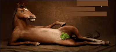 Pour quel type de produits alimentaires ce cheval souriant et décontracté fait-il la promo ?