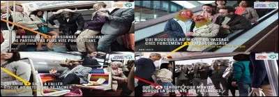 Quel animal ne voit-on pas sur cette pub dénonçant les comportements de certains usagers de la RATP ?