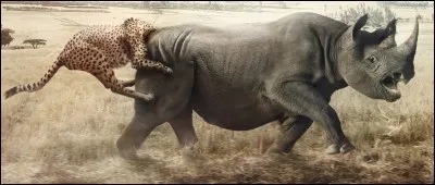 Ici, cette pub fait un parallèle avec voitures et animaux percutés. Quelle industrie automobile allemande, fondée fin XIXe siècle a fait cette campagne d'alerte ?