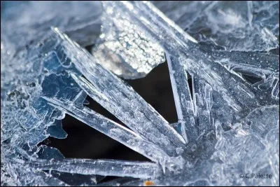 À qui appartient cette magie ?