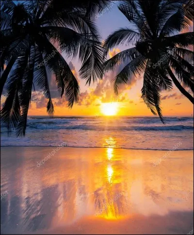 Je préfère le matin ... soir.