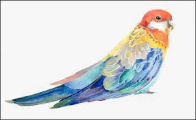 Opposé à ''bonus'' :