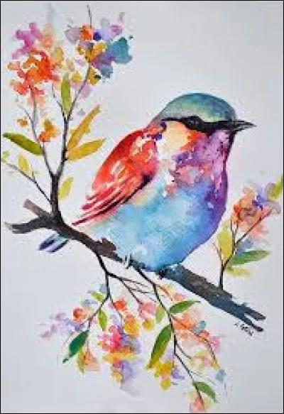 Autre nom du requin-taupe :