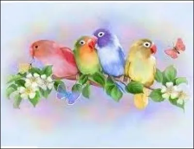 Boire en aspirant avec la langue.