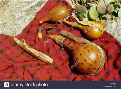 Plante voisine de la past&egrave;que, dont le fruit fournit une pulpe am&egrave;re et purgative, employ&eacute;e essentiellement pour les animaux !