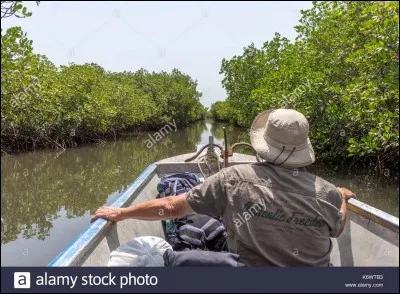 Magnifique r&eacute;gion du S&eacute;n&eacute;gal !