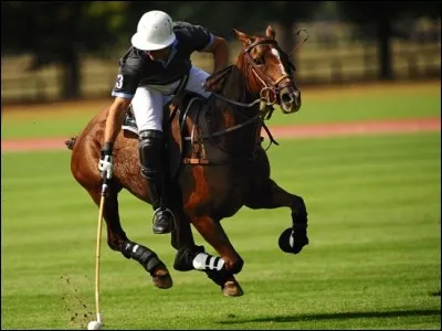 Quel est le nom de ce sport pratiqué à cheval ?