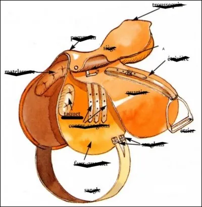 Comment s'appelle la partie de la selle désignée par la lettre A ?