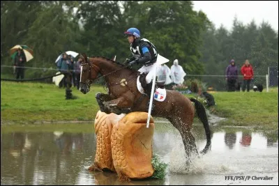 Quelle est cette discipline ?