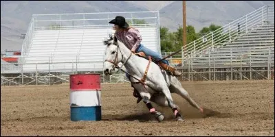 Je suis une discipline qui consiste à tourner le plus rapidement possible autour des tonneaux, je suis...
