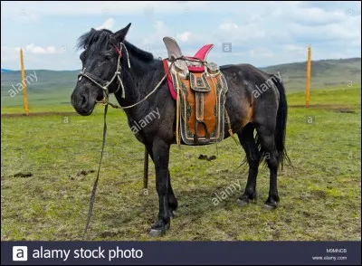 Quel est ton défaut ?