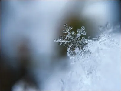 De combien de branches est formé un flocon de neige ?