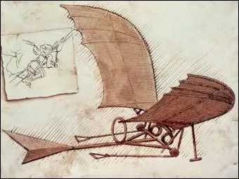 Quel animal Vinci a-t-il tudi pour construire sa machine volante ?