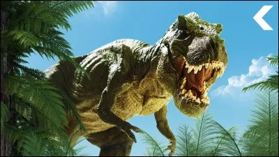 Comment s'appelle ceci en anglais ?