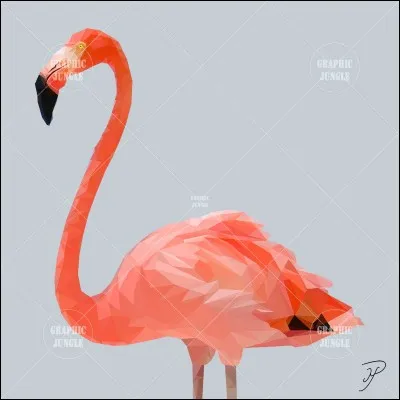 Comment s'appelle ceci en anglais ?