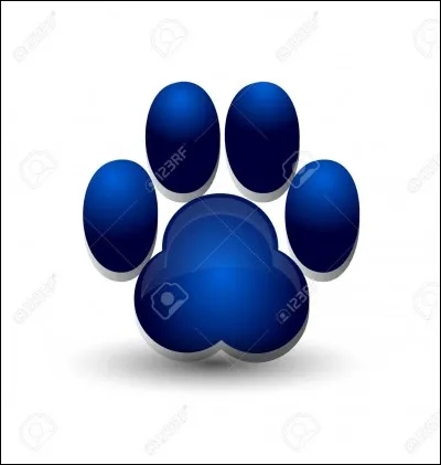 Quel animal préfères-tu ?